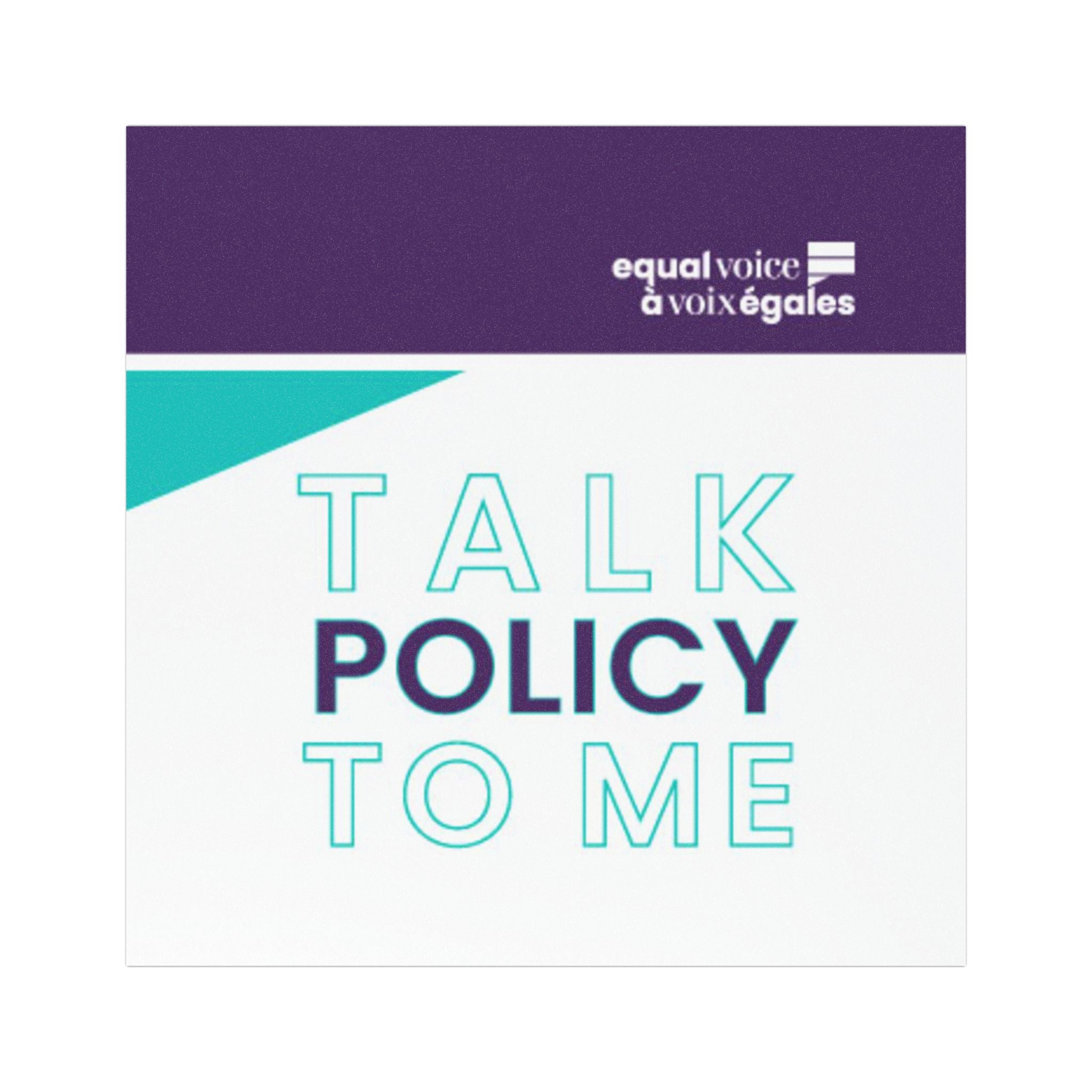 Car Magnets - Talk Policy to Me